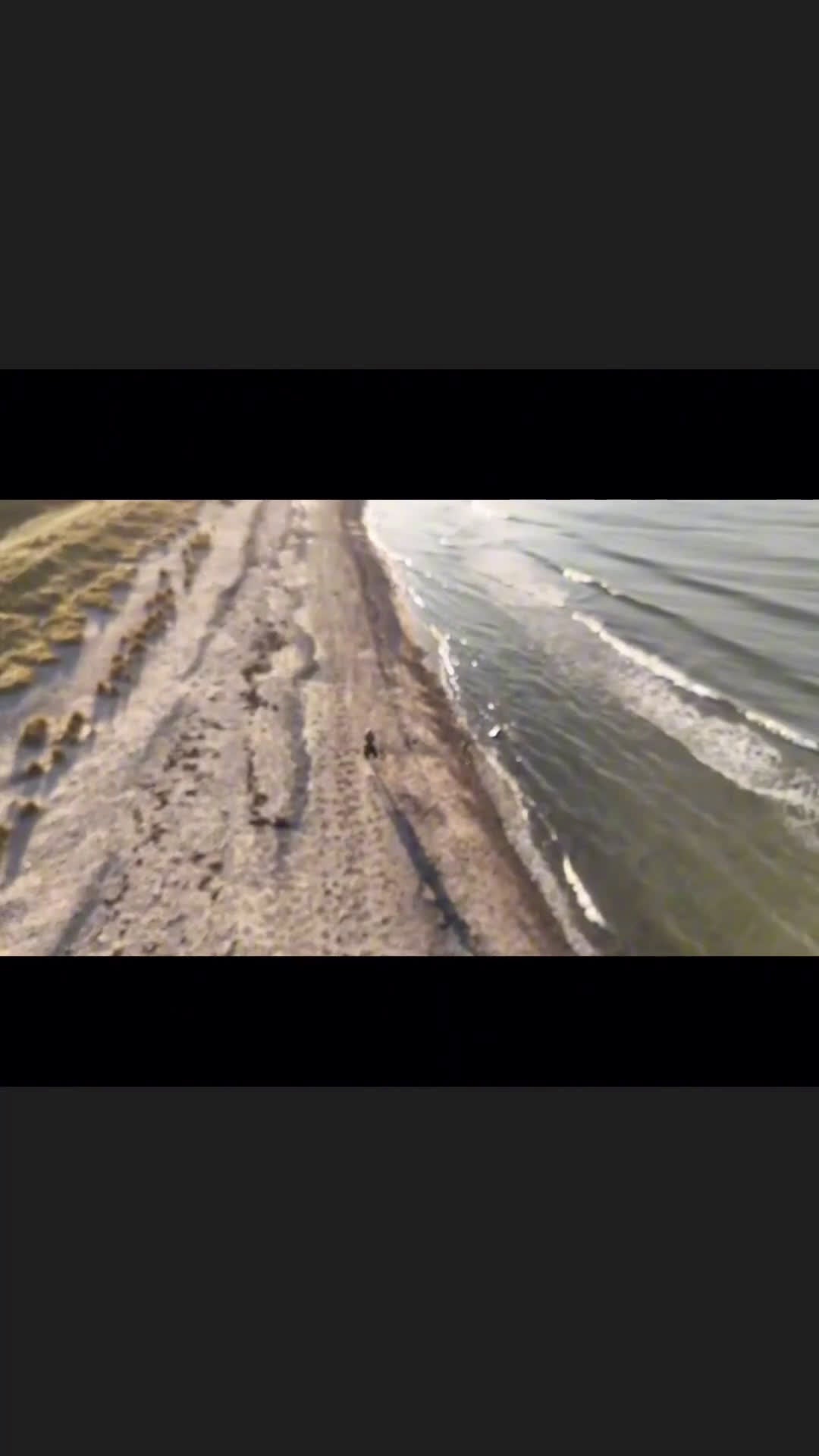 Hoppning hästar till salu: Lislap Freda - Video 3