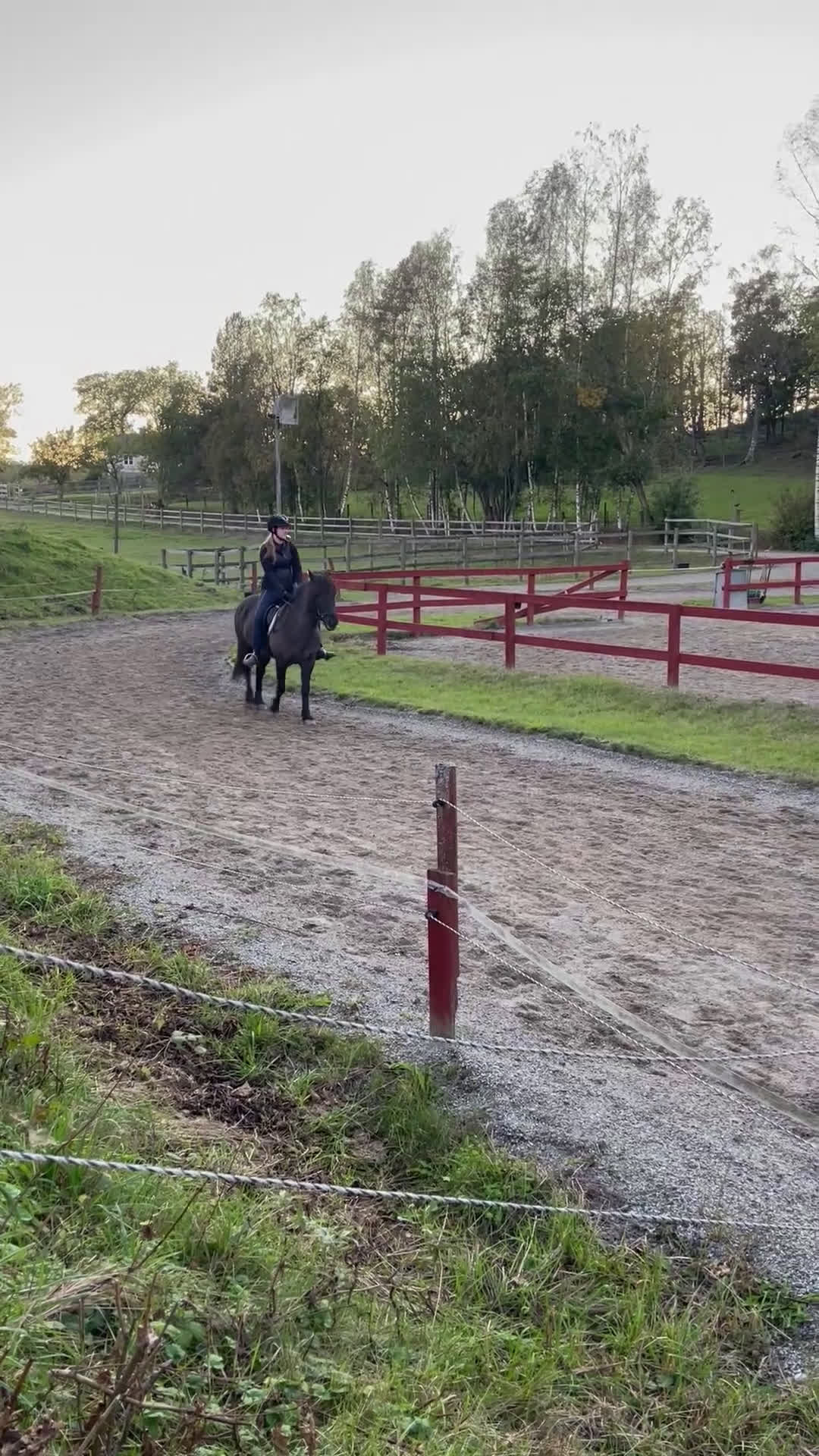  medryttarhäst sökes: Söker medryttarhäst (islandshäst) - Video 3