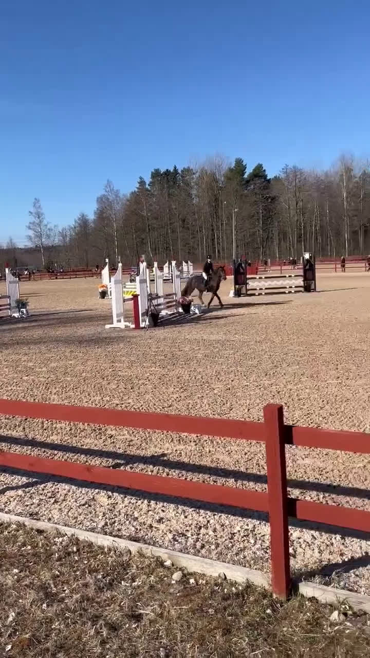 Hoppning hästar till salu: One in A million ponny🌟 i Färjestaden - Video 1