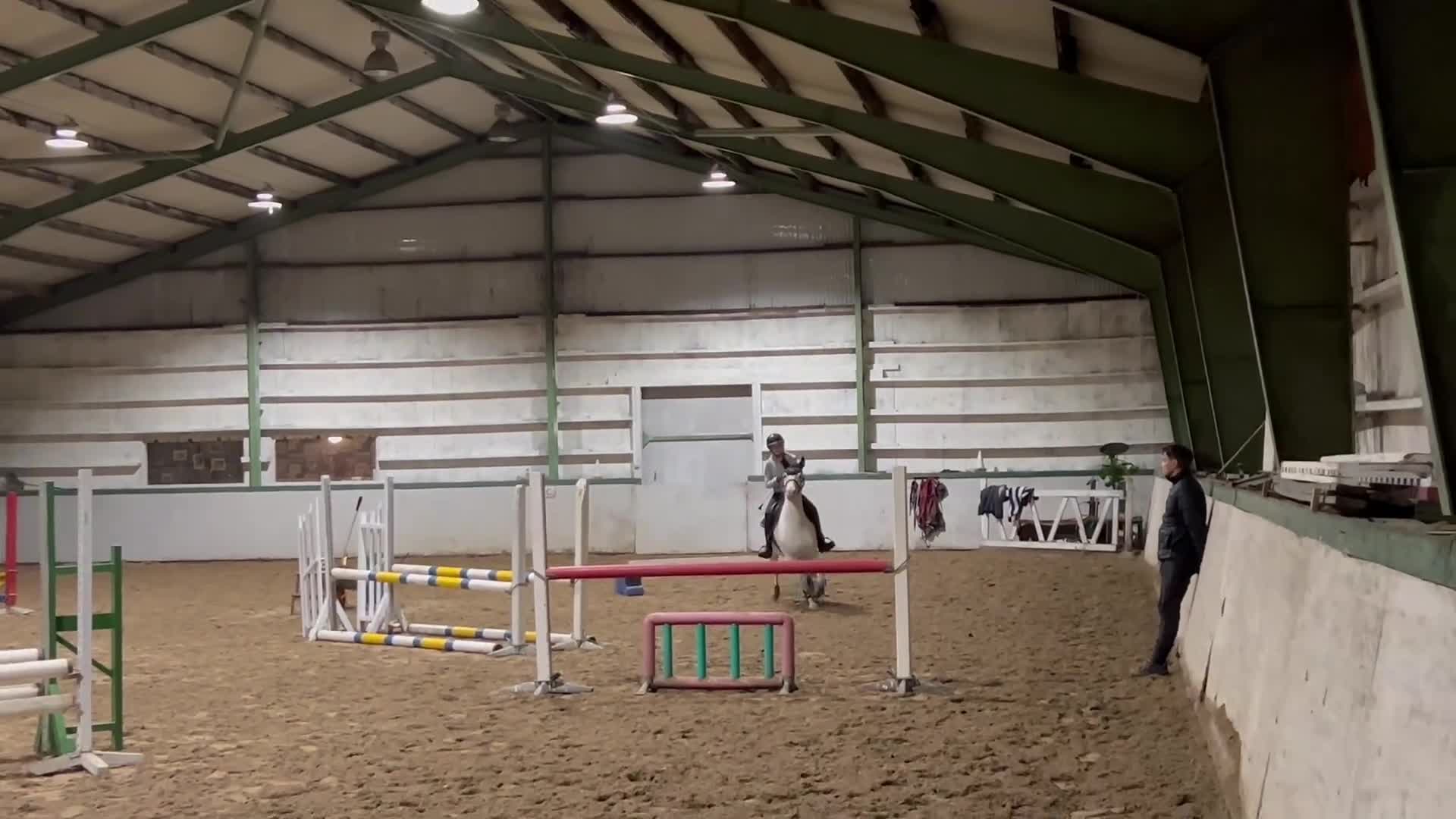 Hoppning hästar till salu: Breeze söker sitt nya hem - Video 2