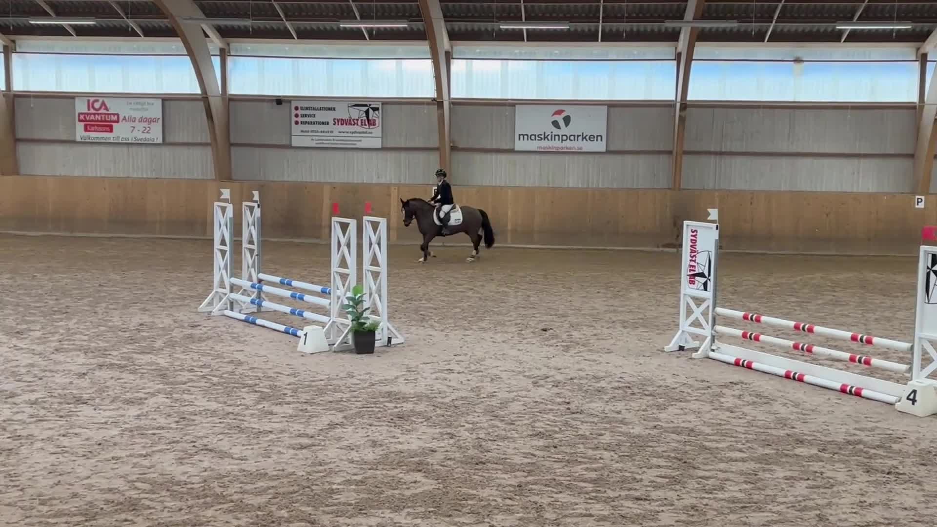 Allround hästar till salu: Rocky road letar nytt hem - Video 4