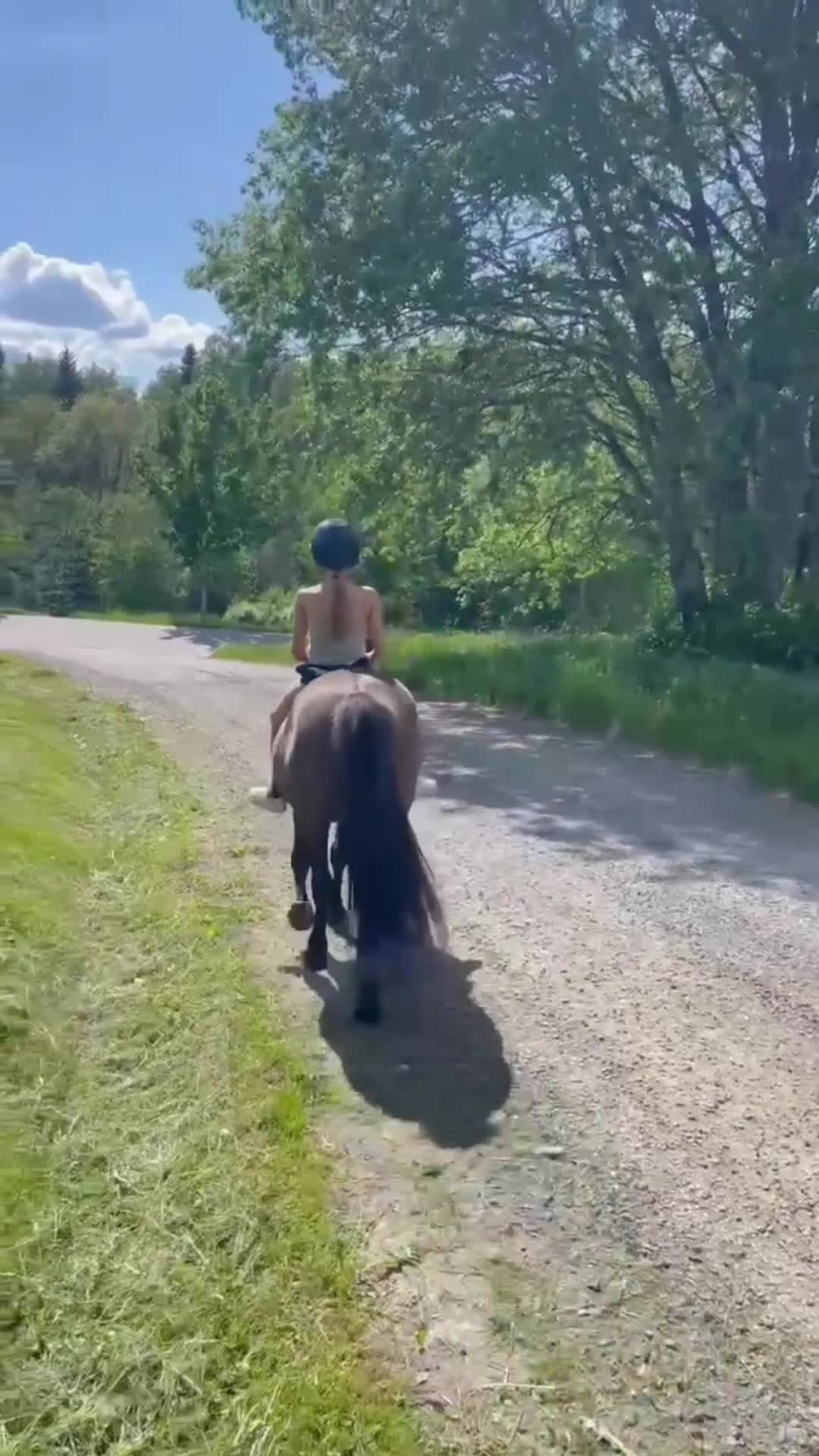 Allround hästar till salu: Intressekoll på allround ponny🌸 - Video 1