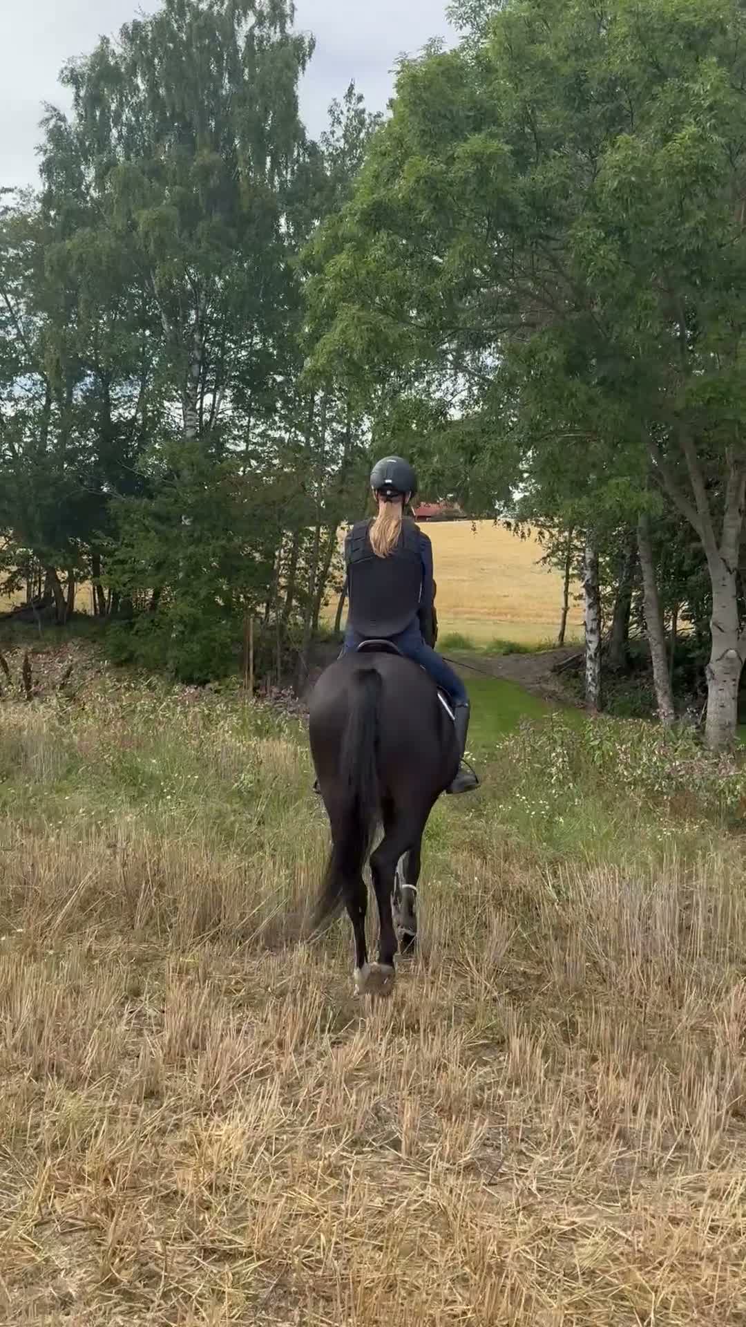 Hoppning hästar till salu: D-ponny e.Emmerton SWB - Video 1