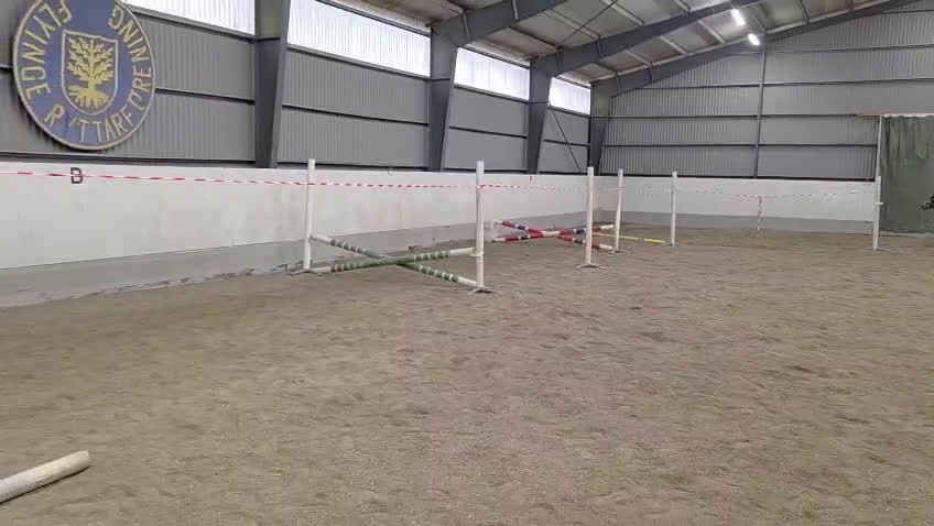 Hoppning hästar till salu: Sportigt 3-års sto - Video 1