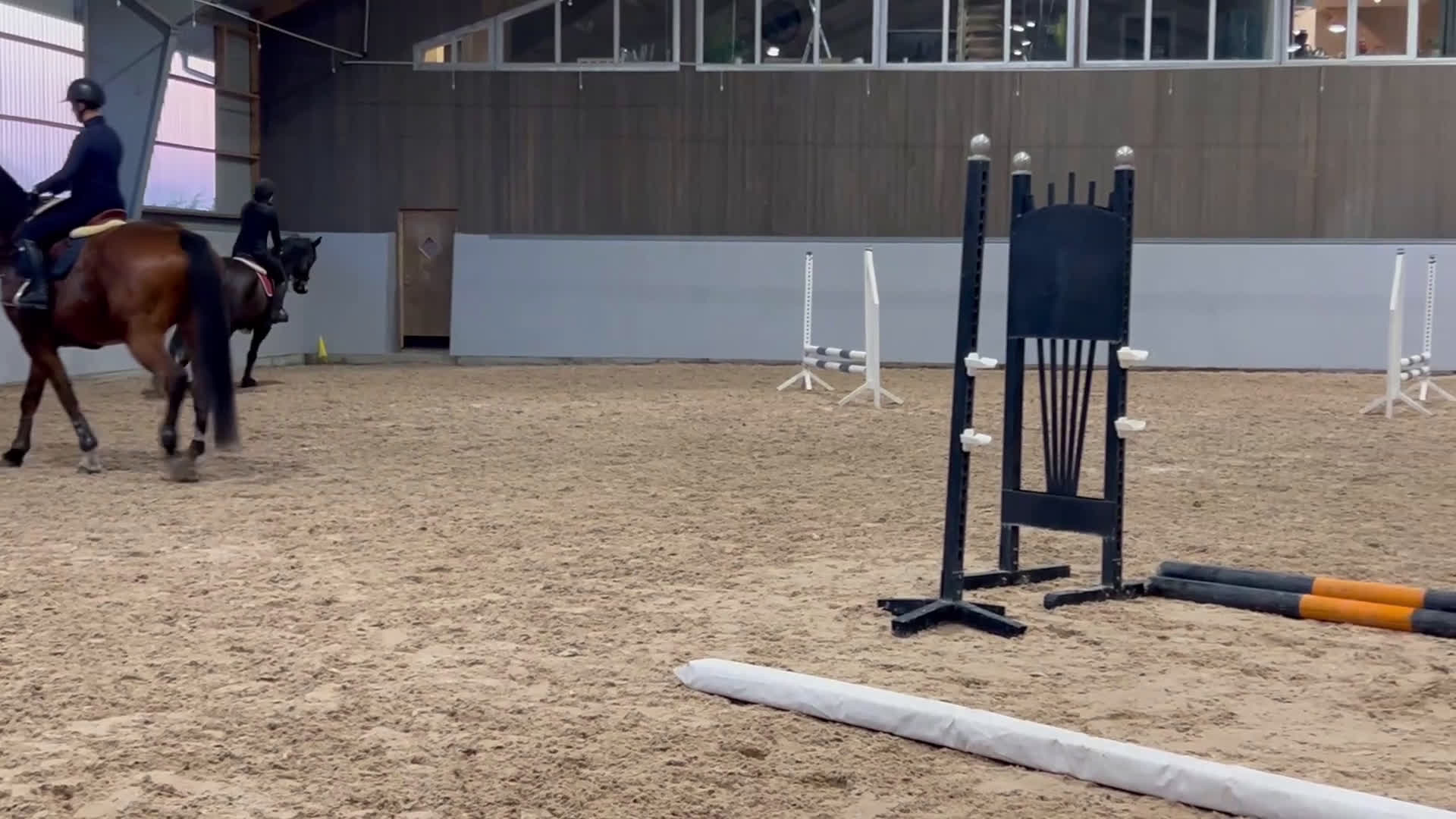  foderhäst sökes: Samarbete sökes  i Genarp - Video 1