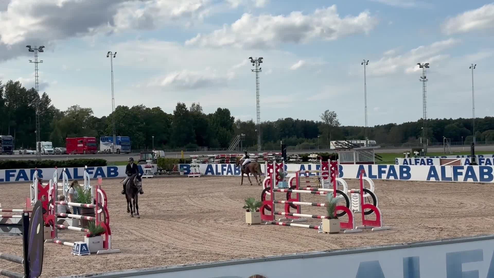 Hoppning hästar till salu: Fantastisk läromästare letar nytt hem! - Video 1