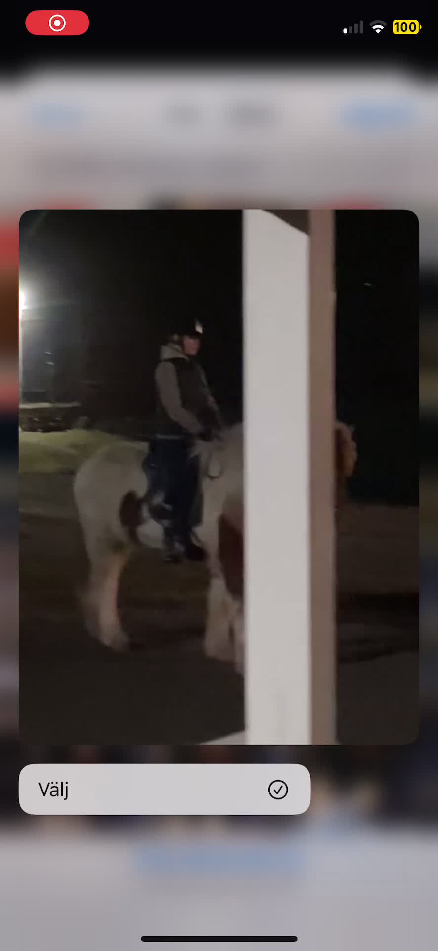  medryttarhäst sökes: Söker medryttarhäst nära Järfälla!! i Järfälla - Video 2