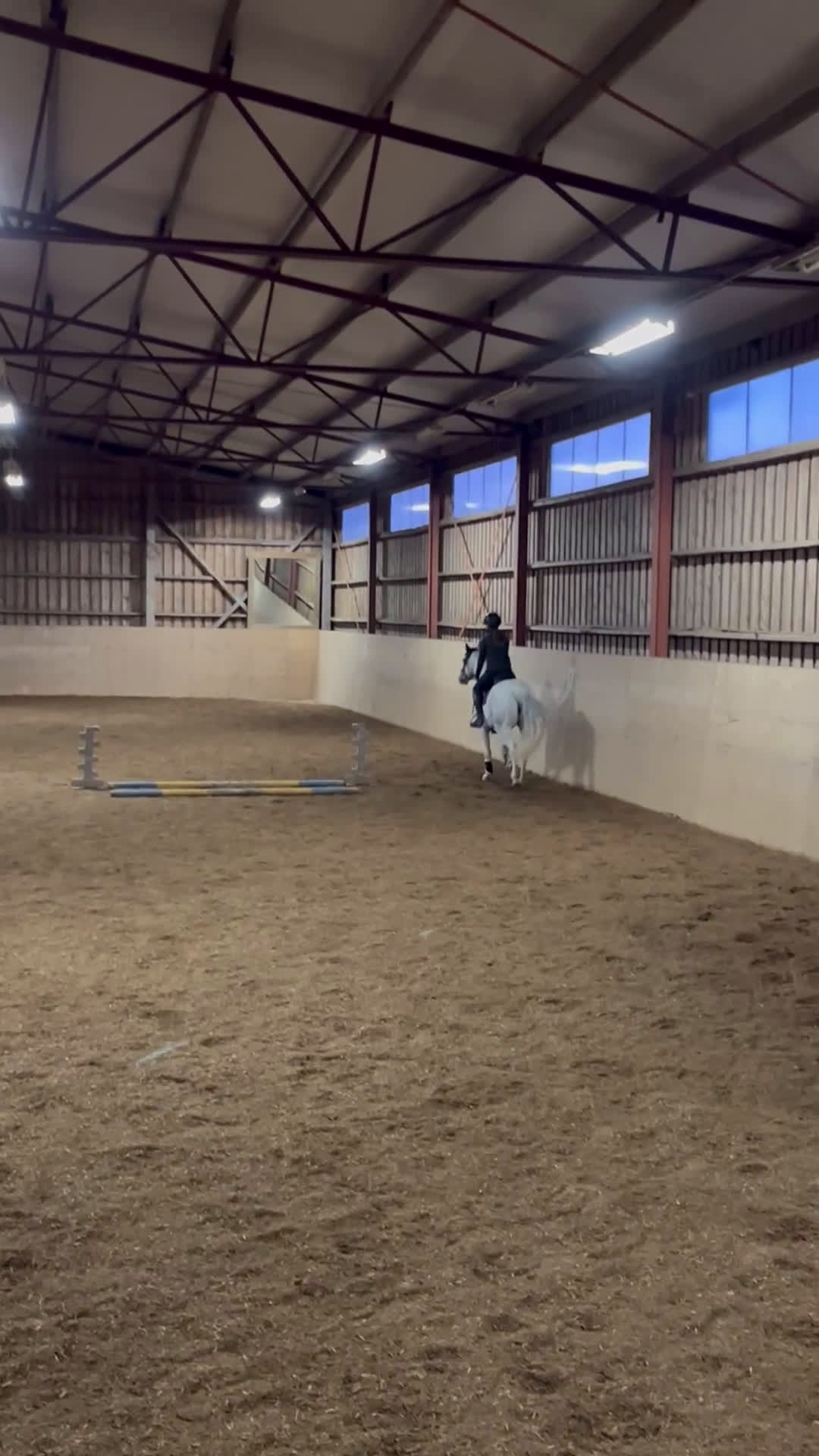 Allround hästar till salu: D ponny sto med stor potential💫 i Vedum - Video 3