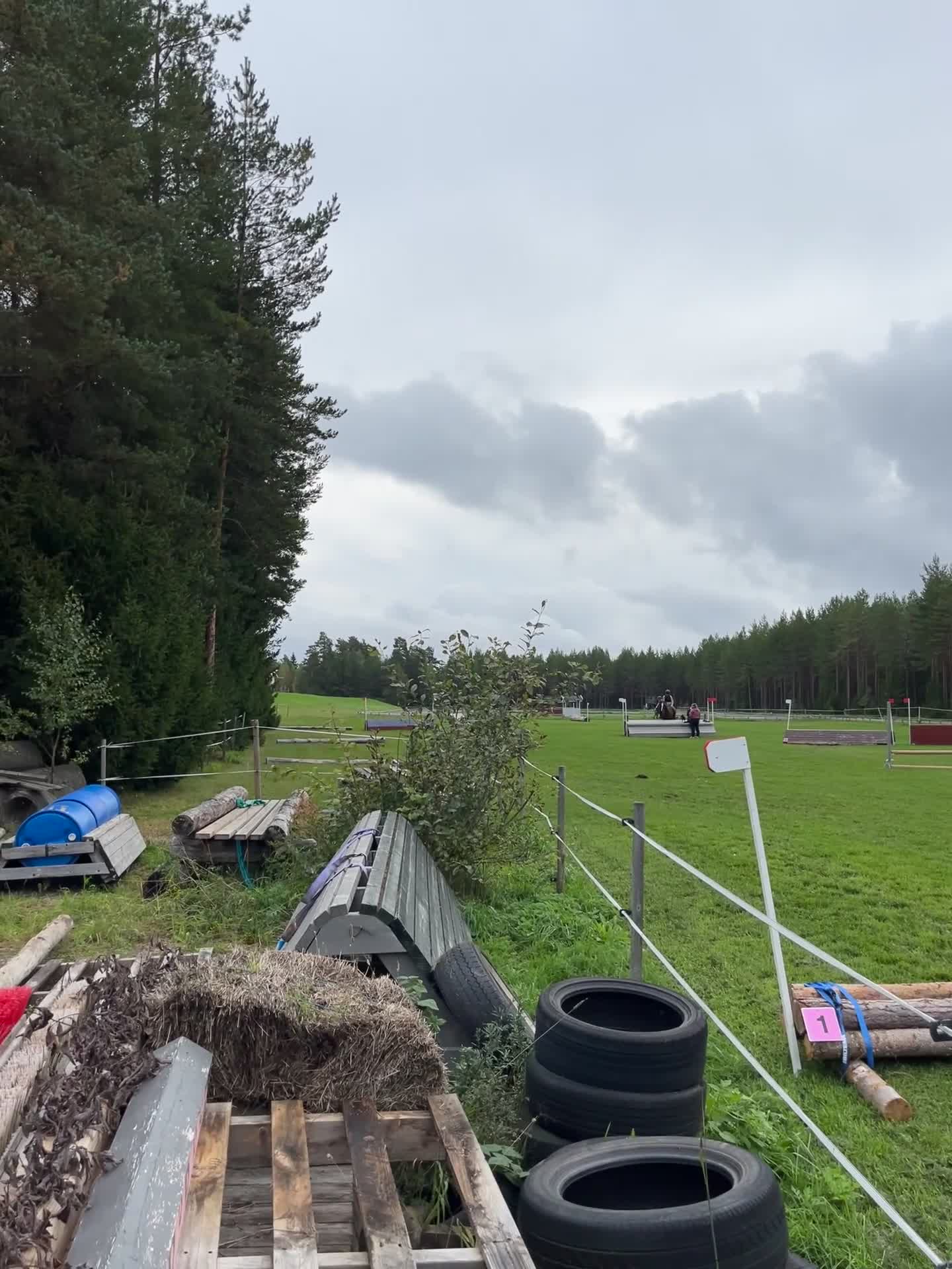 Allround hästar till salu: B ponny med hjärta av guld. - Video 2