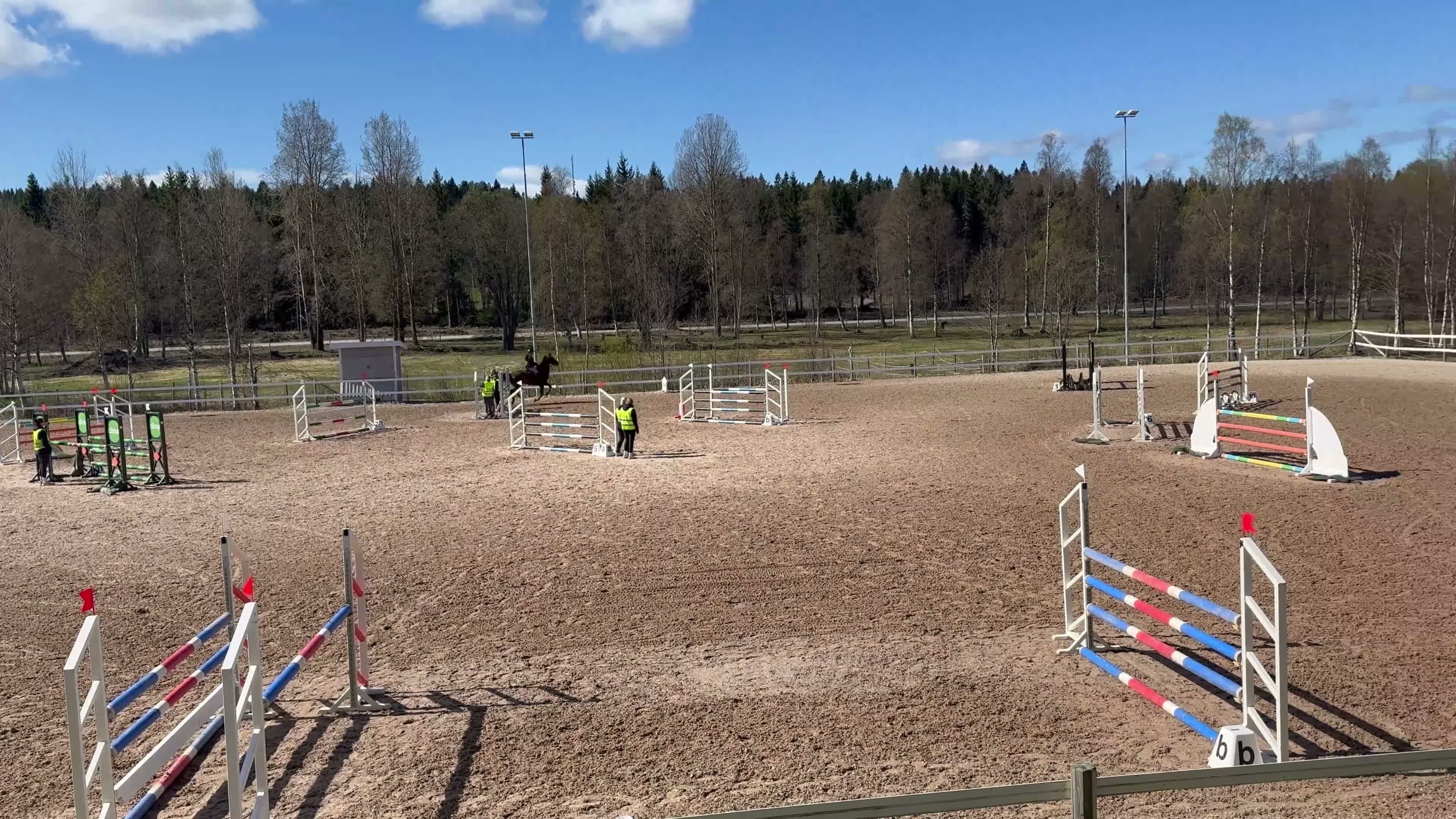 Hoppning hästar till salu: Pigg sporthäst - Video 4
