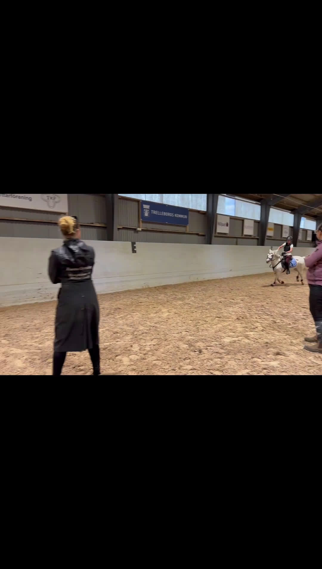 Allround hästar till salu: Prinsessa till salu i Vellinge - Video 2