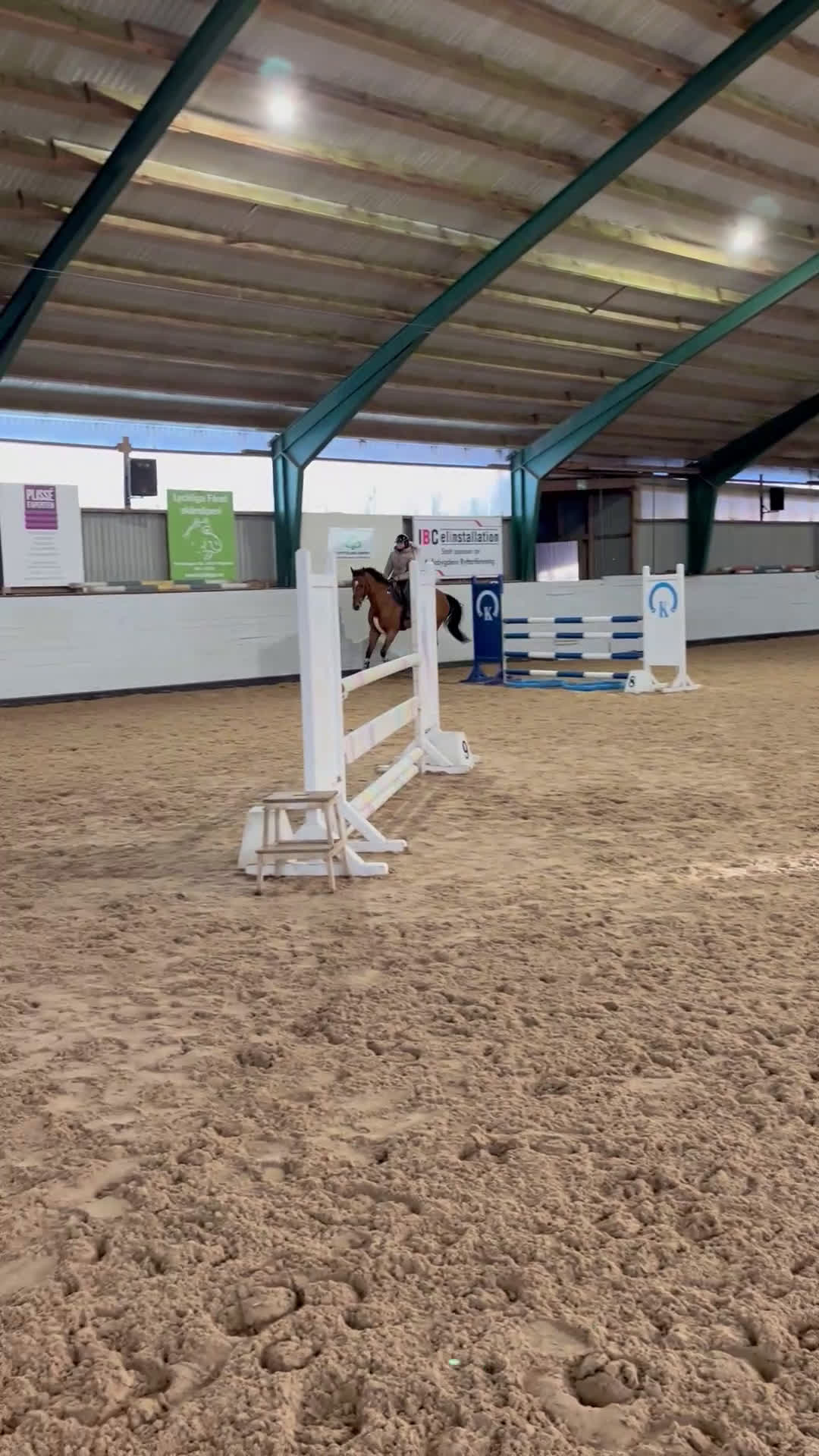 Hoppning hästar till salu: TREVLIG TÄVLINGSHÄST  - Video 1