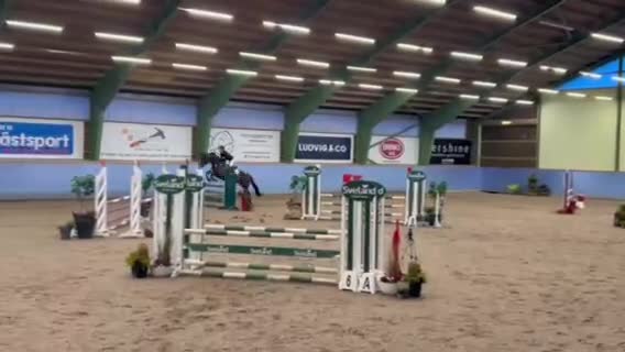 Allround hästar sökes: Söker häst - Video 3