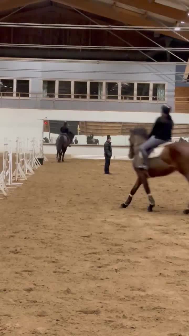 Allround hästar till salu: Pålitlig bästa vän  i Månsarp - Video 3