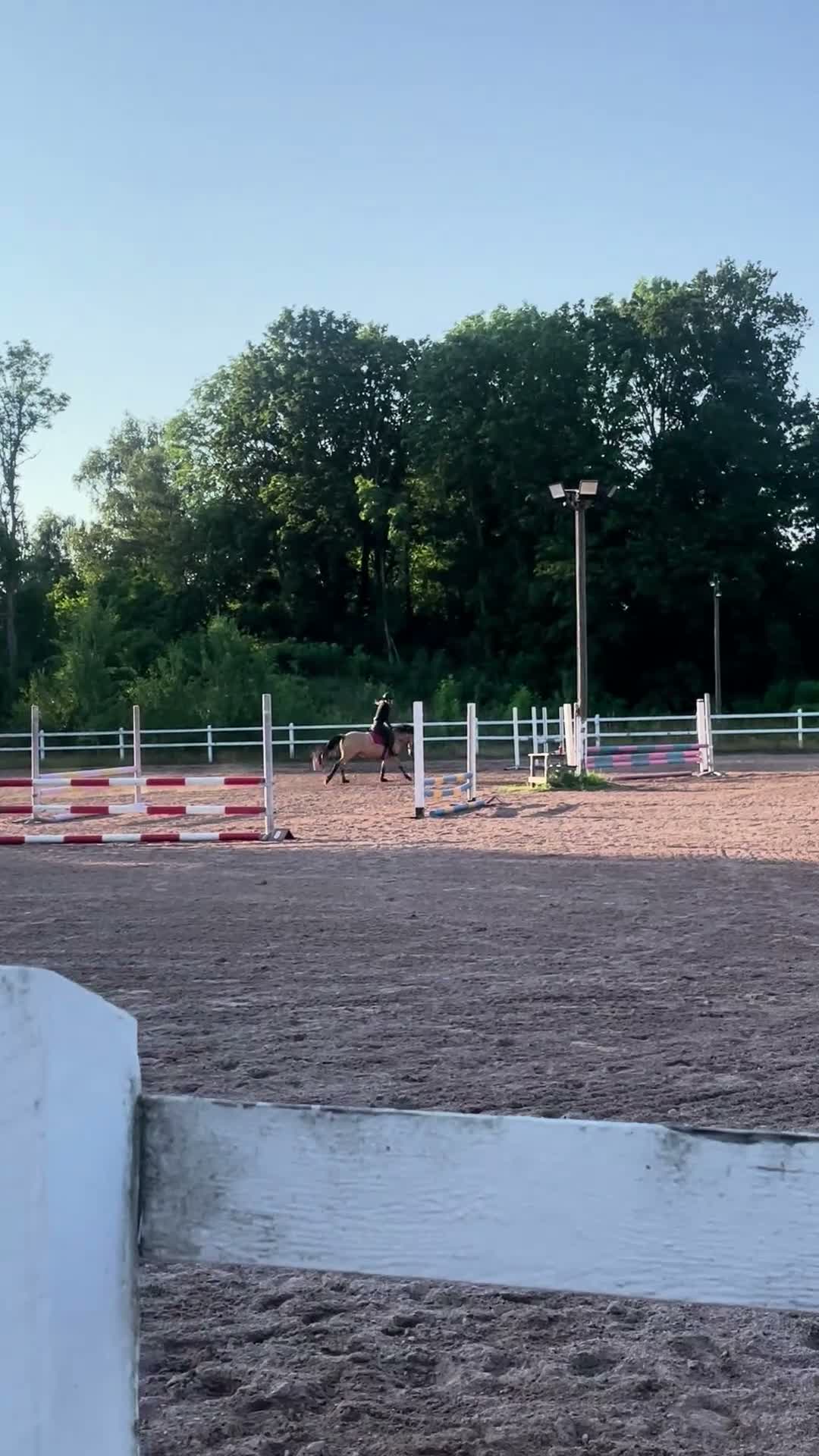 Allround hästar till salu: Lovande ungponny - Video 1