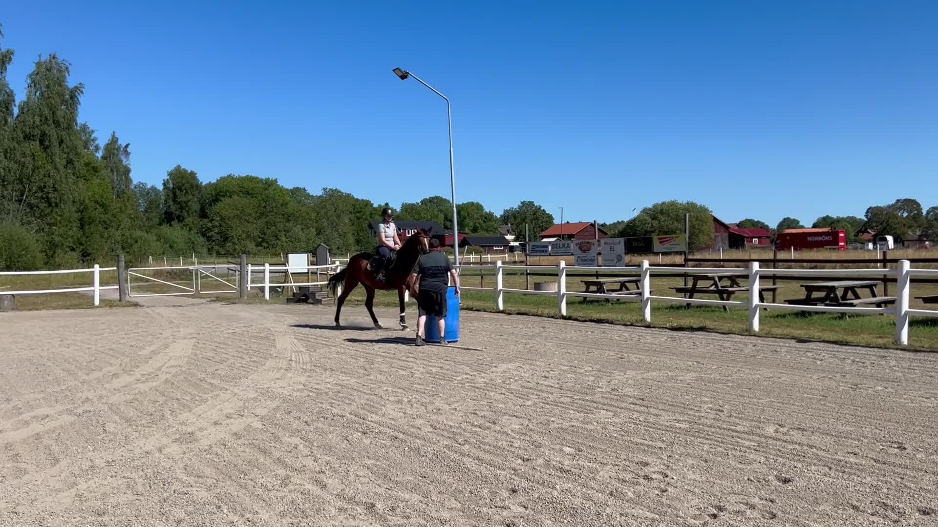Allround hästar till salu: Dressyr/Avel WE  - Video 5