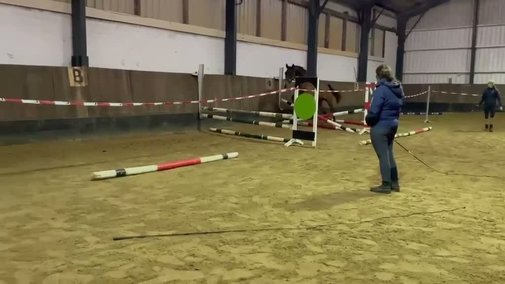 Hoppning hästar till salu: Trevligt sto med fin stam - Video 1