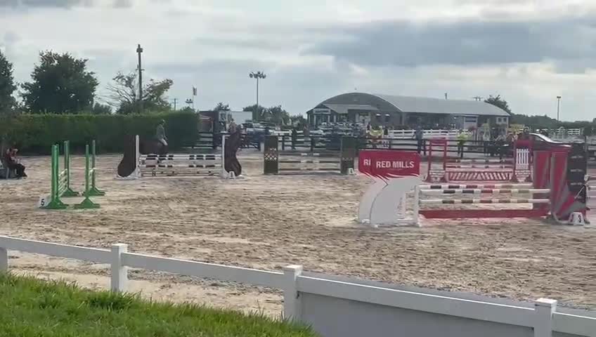 Hoppning hästar till salu: Topp D ponny för de stora uppgifterna 🌟 - Video 3