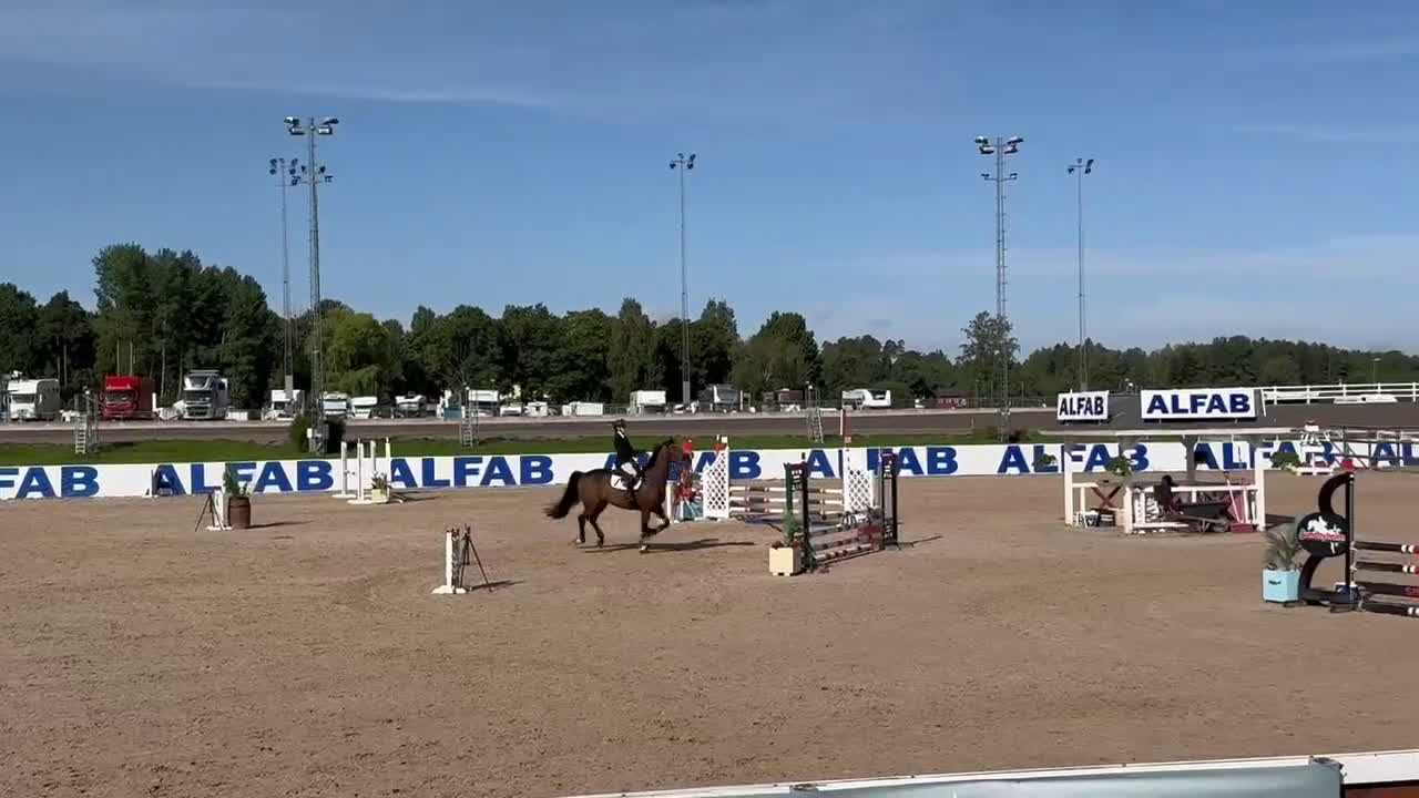 Hoppning hästar till salu: En riktig kompis! i Flen - Video 1