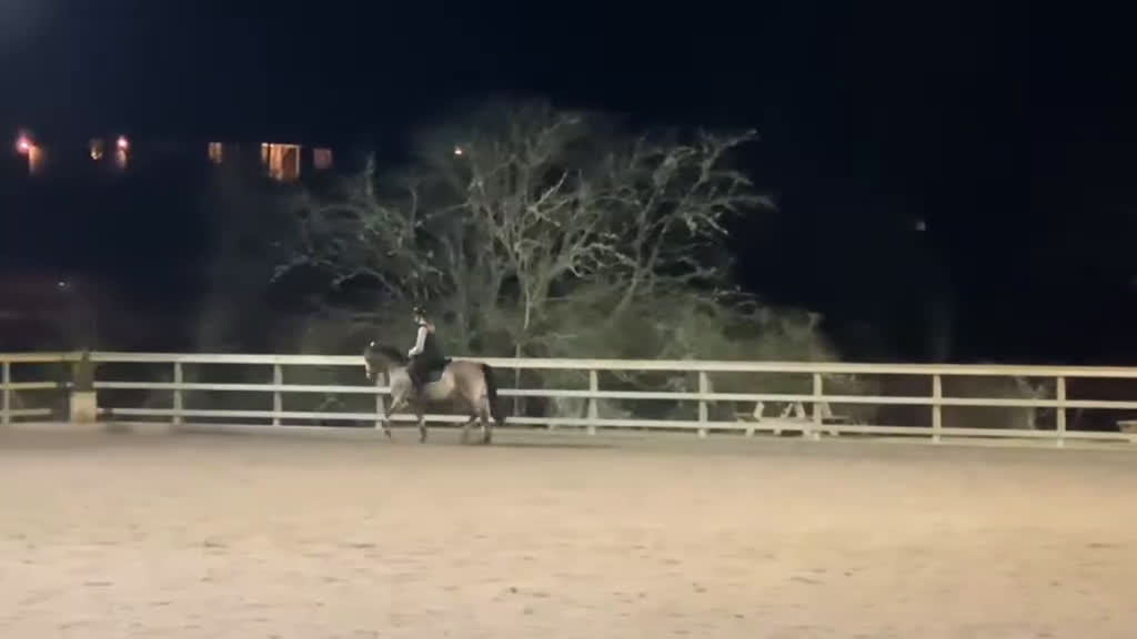 Allround hästar till salu: Guldponny med stort G i Västra Frölunda - Video 2