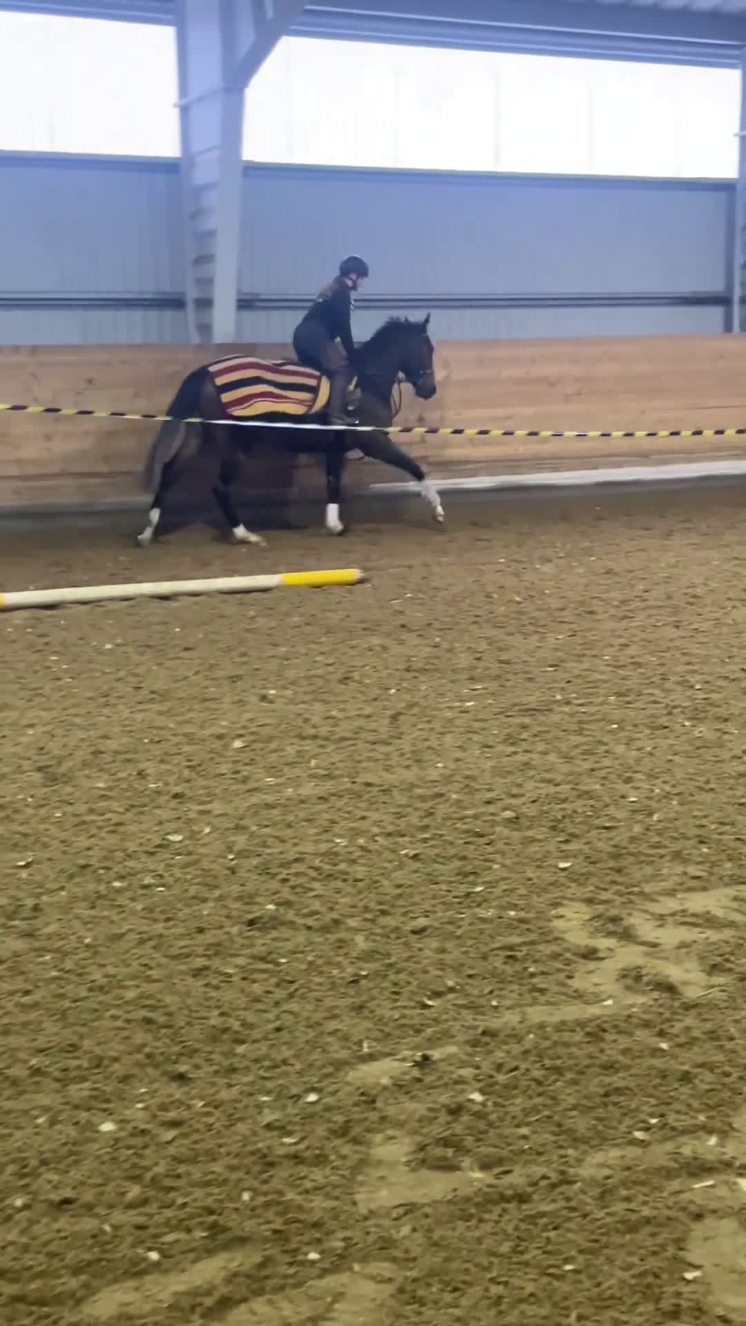 Fälttävlan hästar till salu: En otroligt snäll unghäst att forma själv! i Bälinge - Video 1