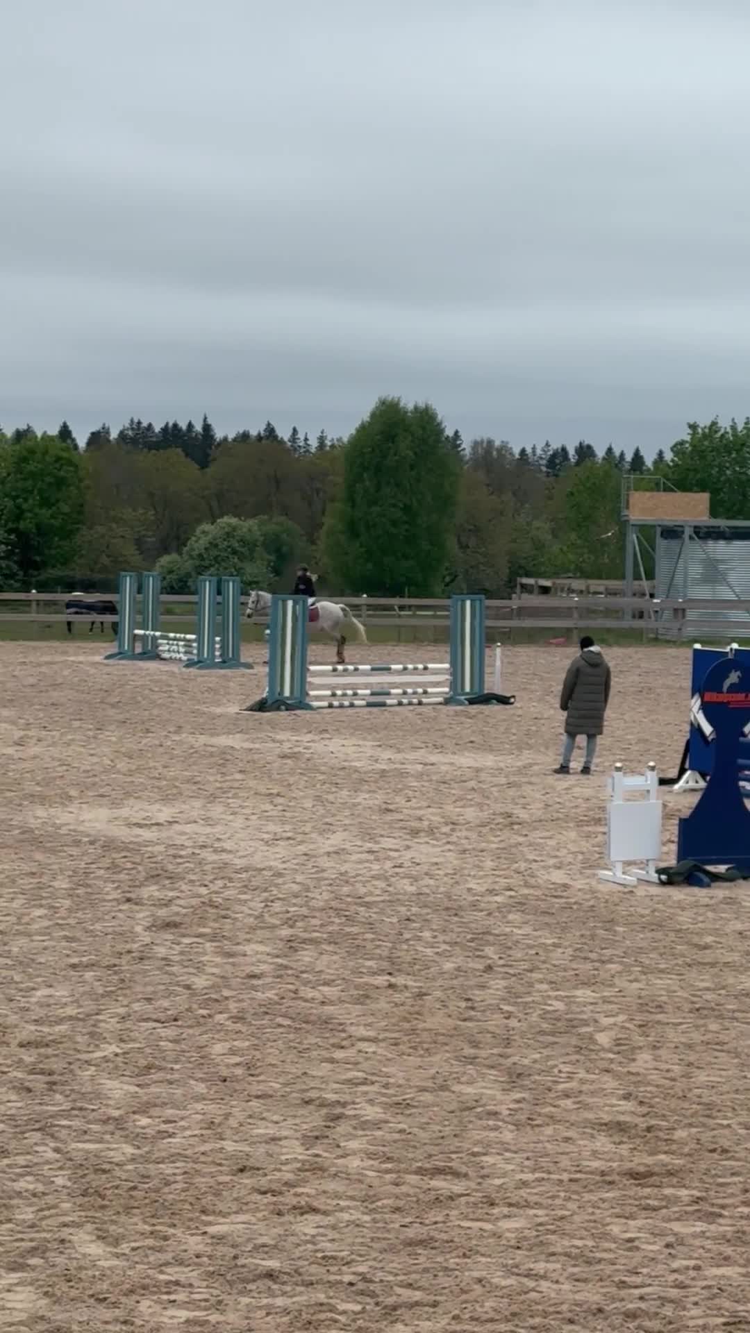 Hoppning hästar till salu: Läromästare, Connemarasto🌸 - Video 1