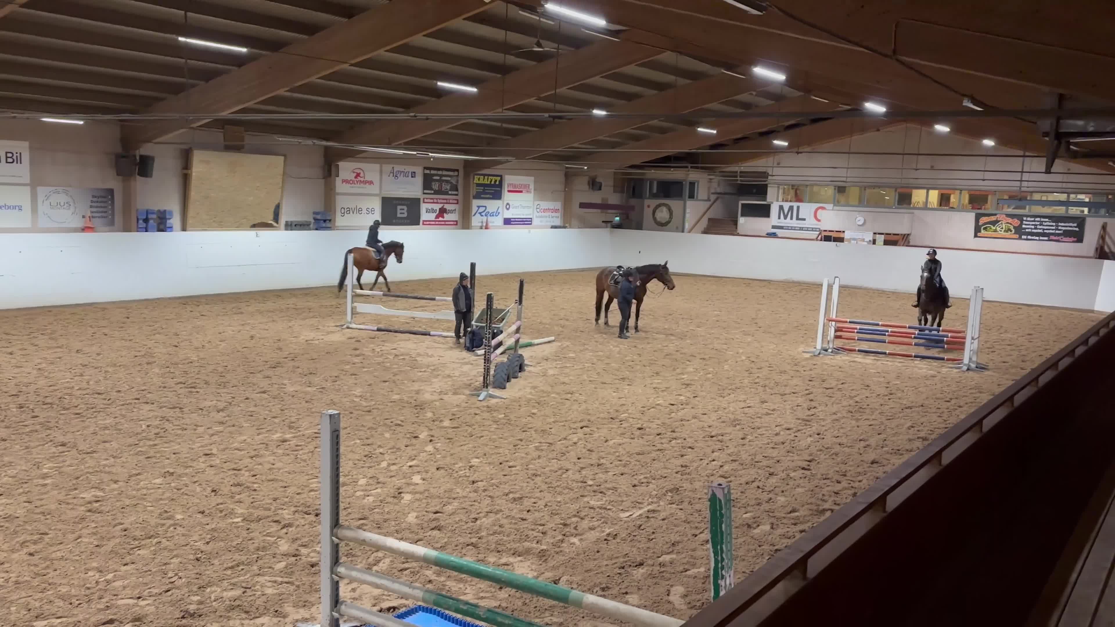 Allround hästar till salu: Tävlings/träningskompis eller lyxigare hobbyhäst - Video 3