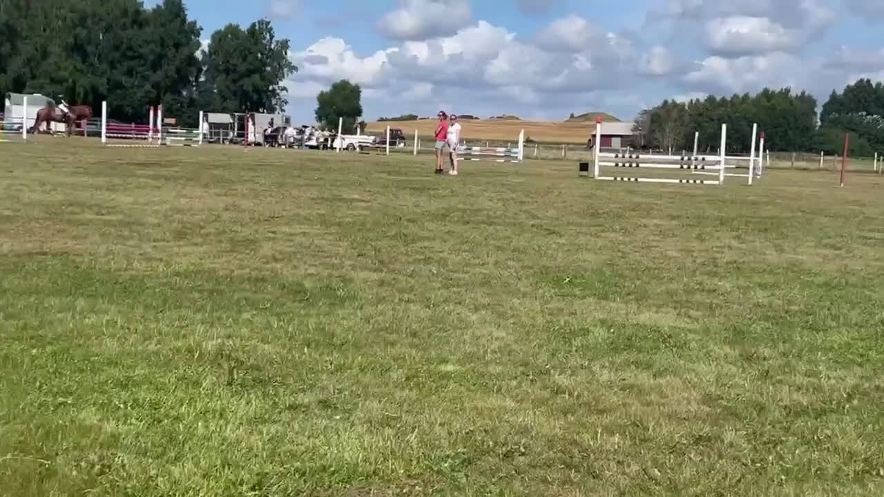 Allround hästar till salu: Nu vill vi hitta rätt hem till denna tjej i Kvibille - Video 3