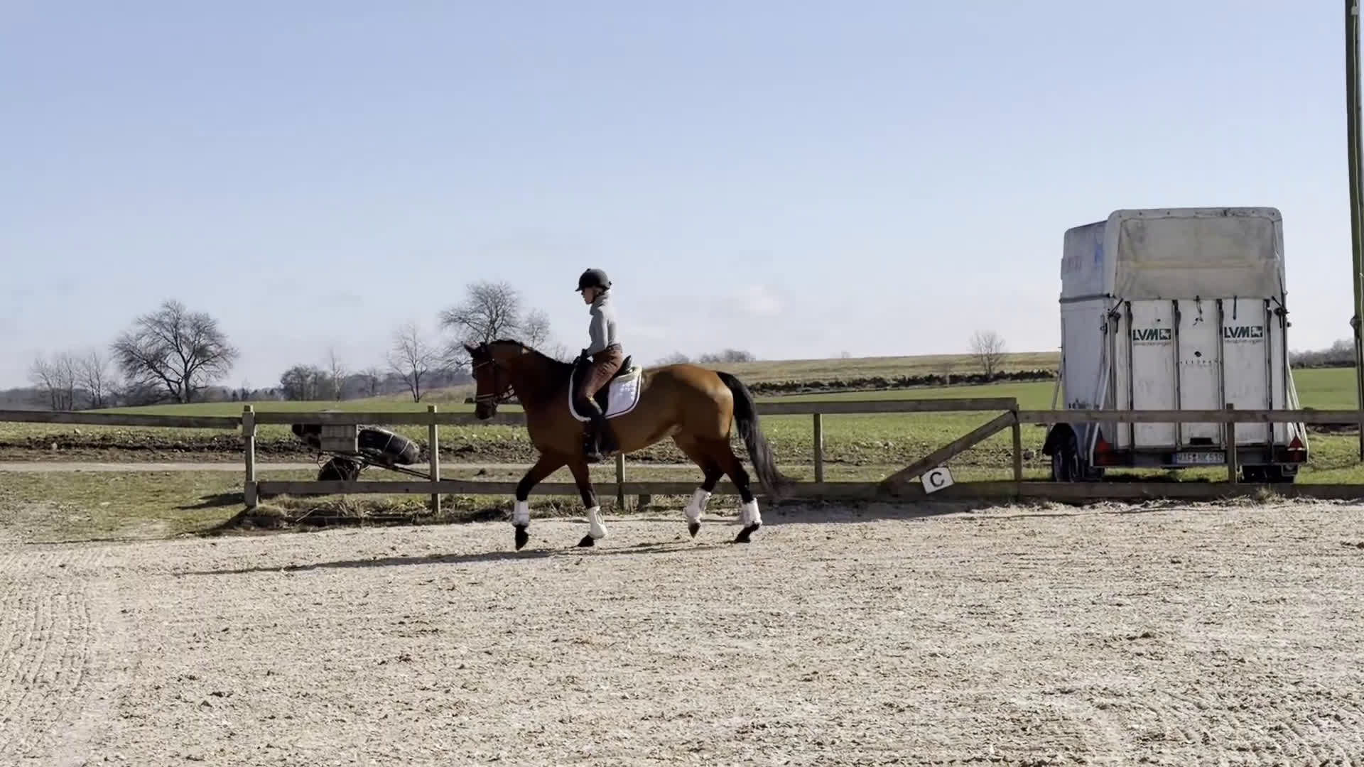 Allround hästar till salu: ⭐️TALANGFULLT STO MED MYCKET FIN PERSONLIGHET⭐️ - Video 2