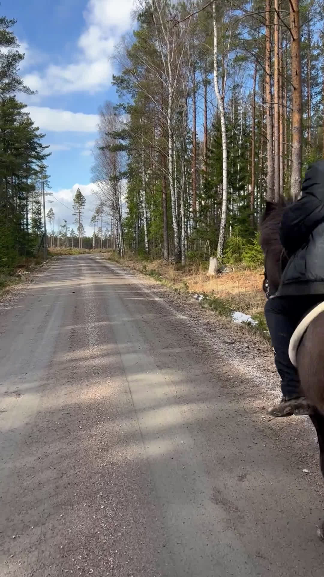 Allround hästar till salu: Söker du ett tryggt och stabilt förhållande? i Järlåsa - Video 2