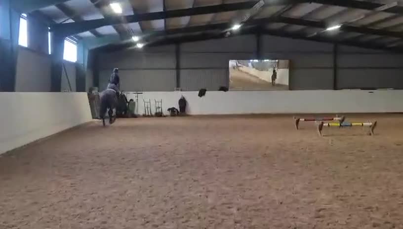 Hoppning hästar till salu: Toppstammad supersnäll hoppvalack i Strängnäs - Video 3