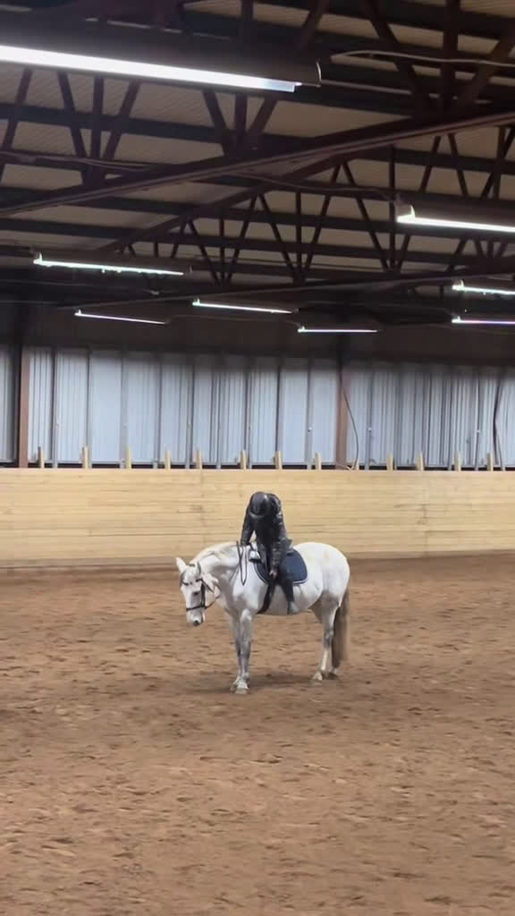  foderhäst sökes: Söker fodervärd ponny/häst i Jönköping - Video 2