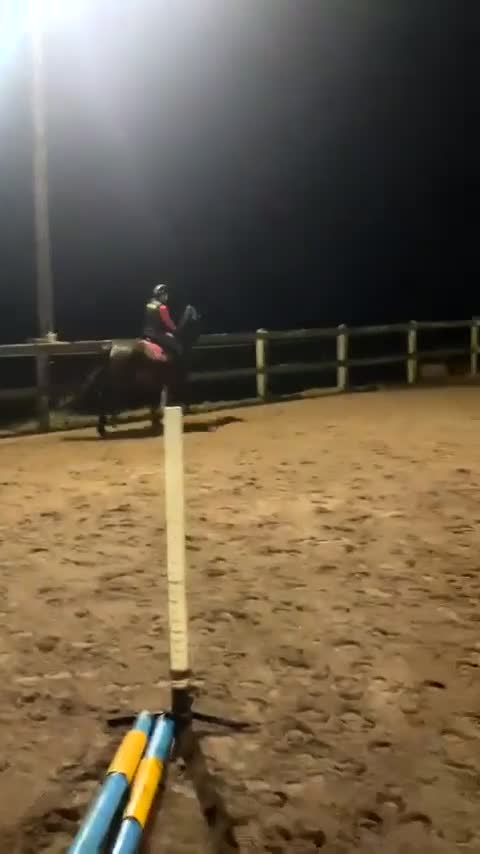 Allround hästar till salu: Underbar varmblodig ridtravare - Video 2
