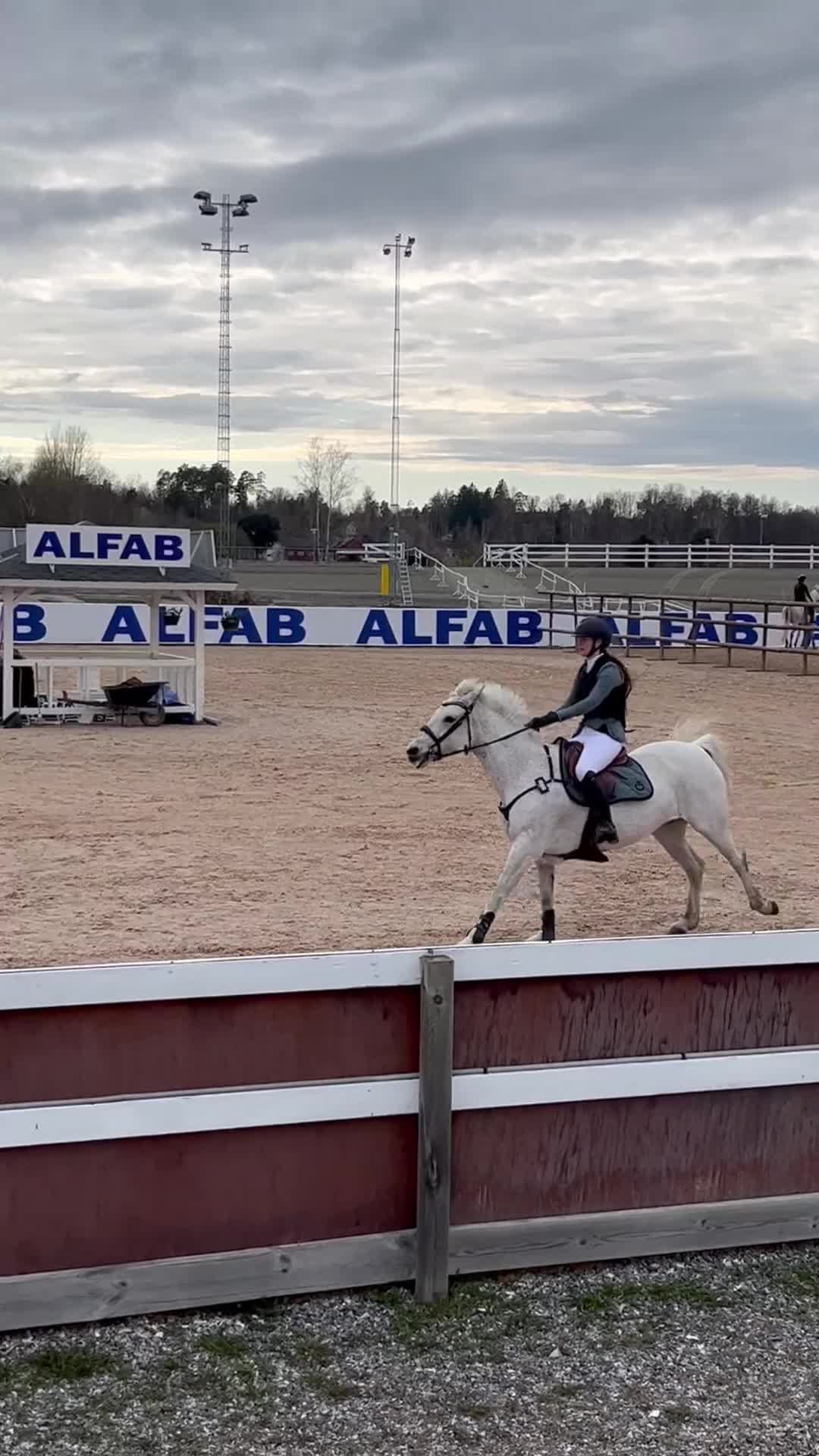 Hoppning hästar till salu: Hoppglad och genomsnäll D-ponny i Grödinge - Video 1