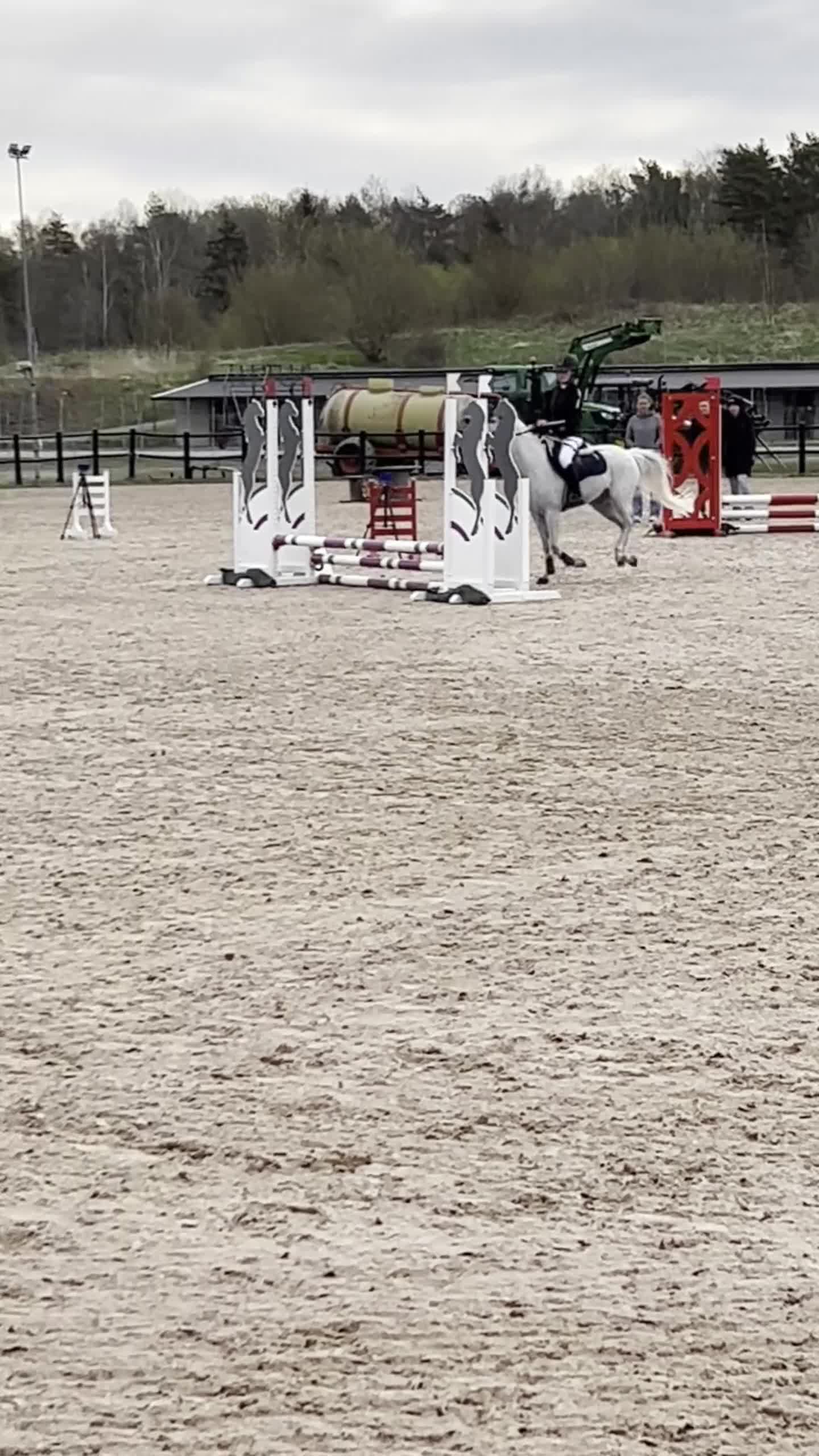 Allround hästar till salu: Maxad B ponny redo för en ny liten pilot  - Video 3