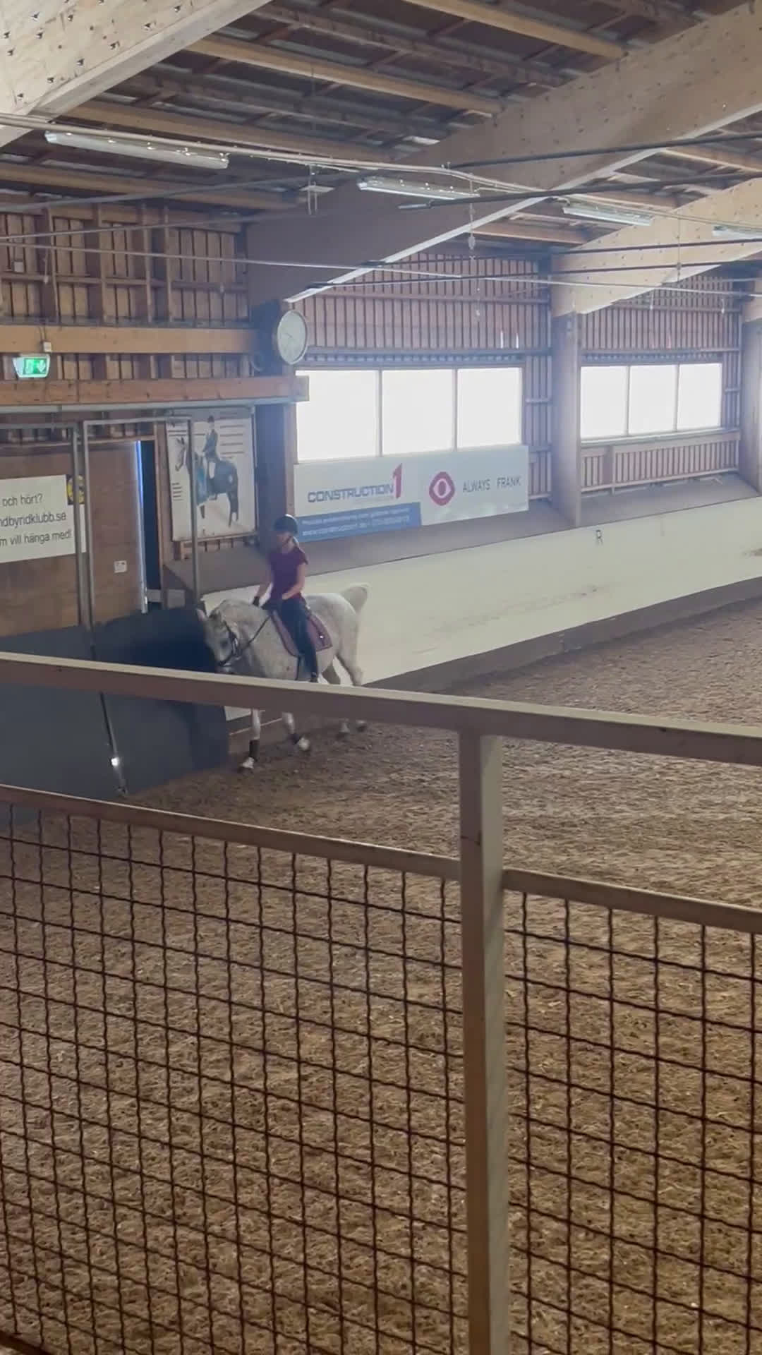  medryttarhäst sökes: Söker fyrbent kompis🐴 - Video 1