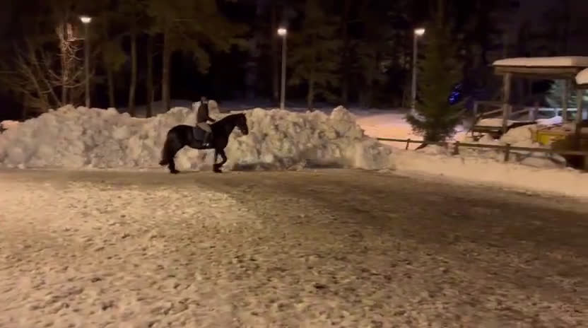  medryttarhäst sökes: Medryttarhäst  i Vagnhärad - Video 3