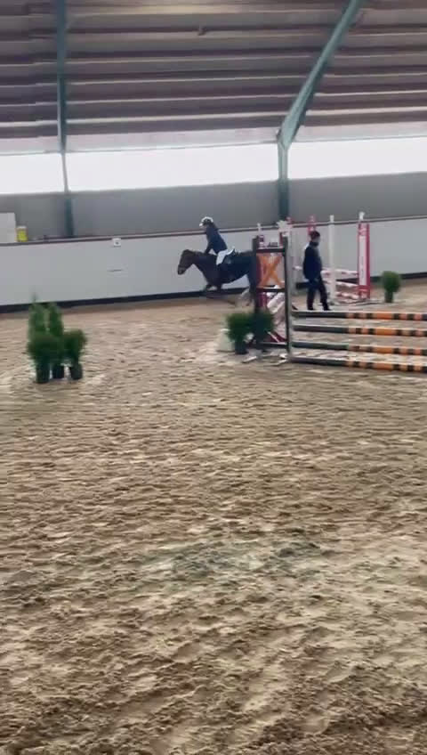  medryttarhäst finnes: C Ponny utanför Helsingborg söker medryttare i Rydebäck - Video 1