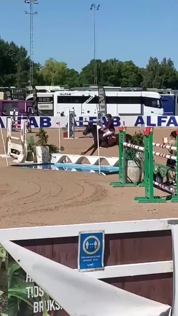 Hoppning hästar till salu: Superfin B-ponny till salu!💘 - Video 2