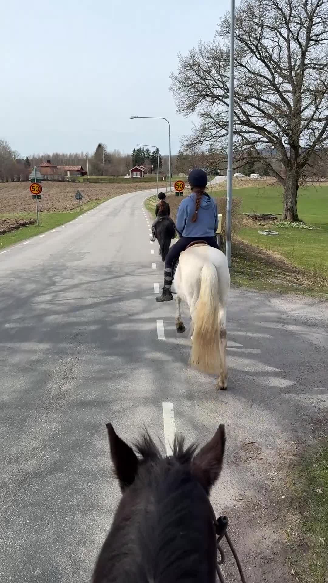 Allround hästar sökes: 🌿 Familj söker trygg häst 🌿 - Video 2
