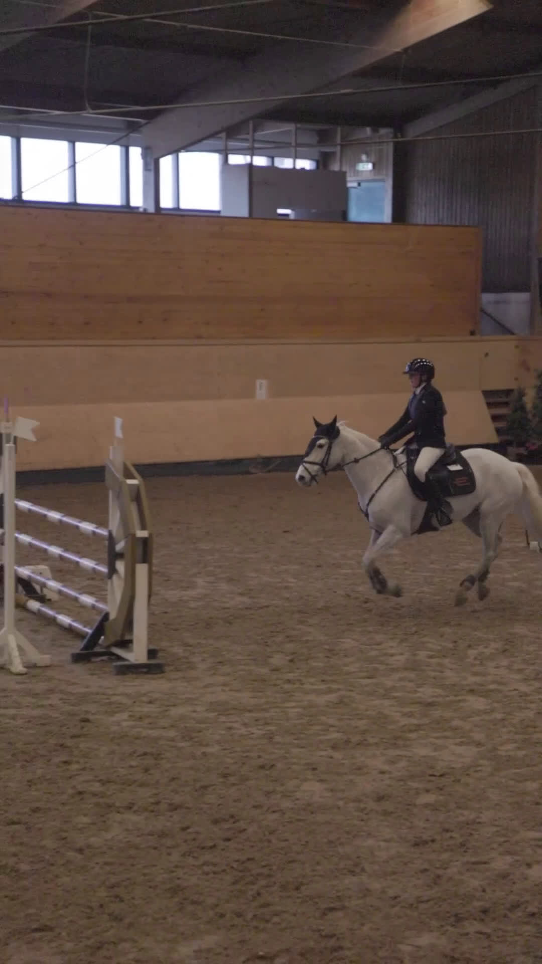 Hoppning hästar till salu: Fantastisk ponny  i Helsingborg - Video 1