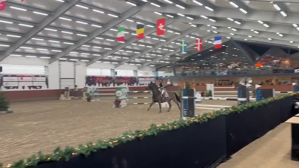 Hoppning hästar till salu: 🌟 Unik läromästare -CH/Övergångshäst 🌟 - Video 1