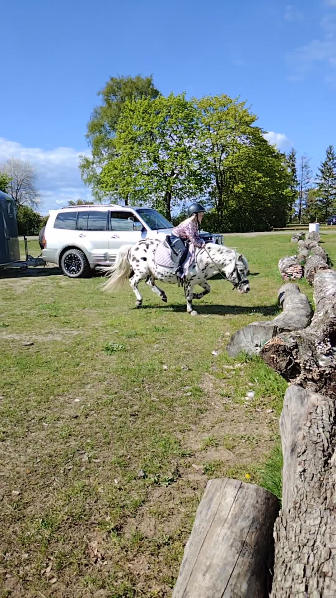 Allround hästar till salu: Gudasnäll barn ponny ⭐ - Video 1
