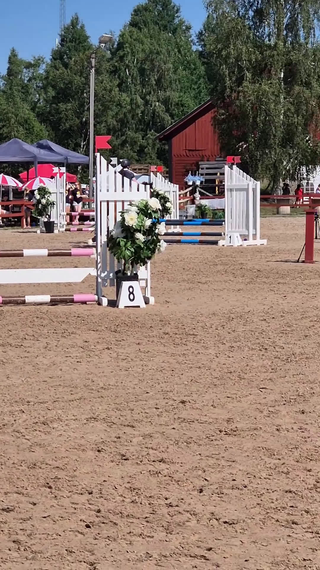 Hoppning hästar till salu: Trevlig Allroundponny  i Landsbro - Video 2