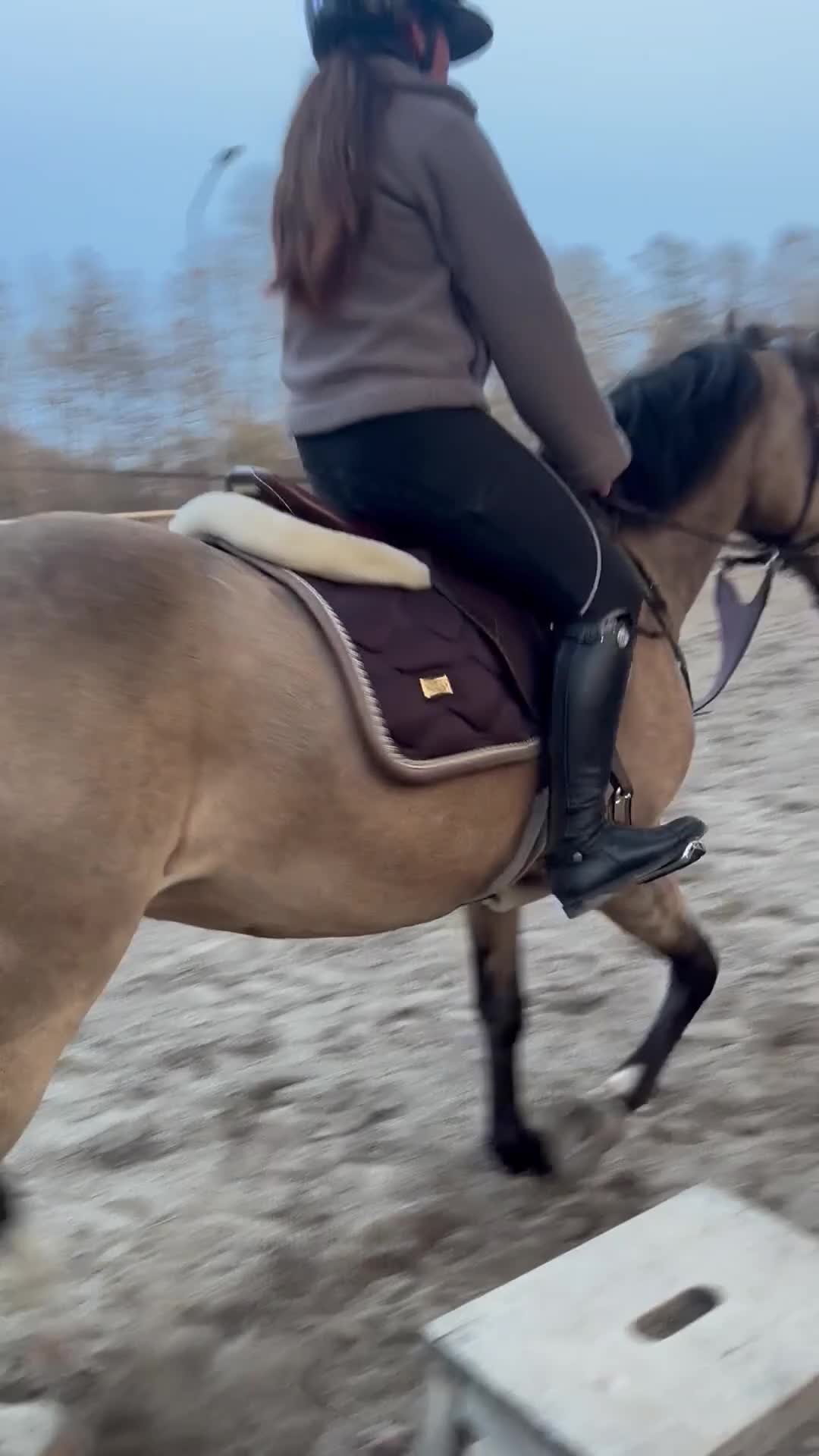 Hoppning hästar till salu: Hoppglad ponny med egen vilja & stor personlighet - Video 5