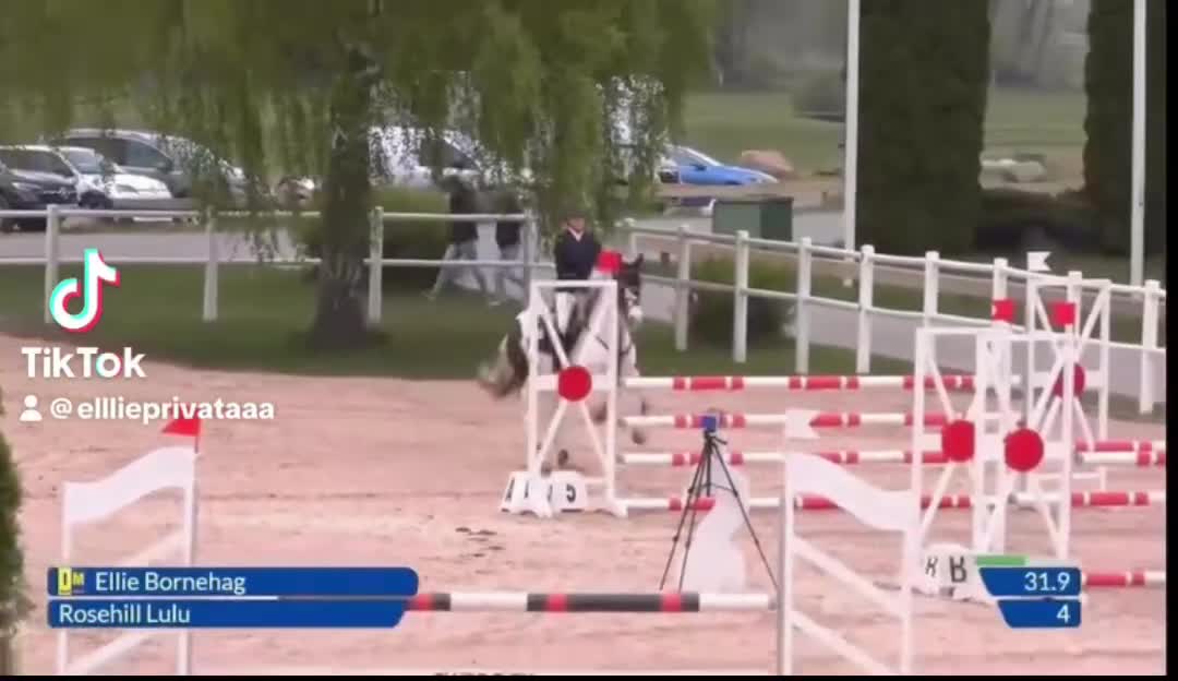 Hoppning hästar till salu: Tävlings ponny på 7år, för det högre klasserna - Video 3