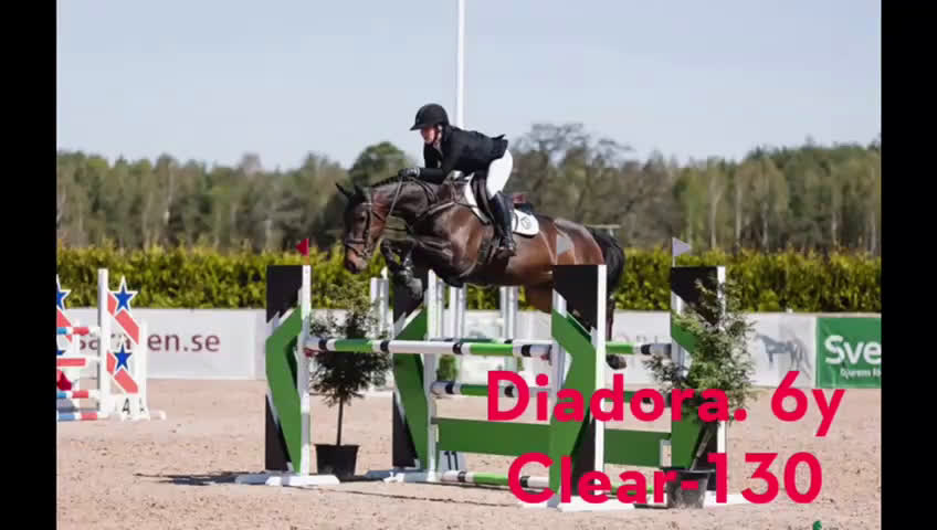 Hoppning hästar till salu: Diadora VS - Young rider/Junior häst med kapacitet i Borrby - Video 1