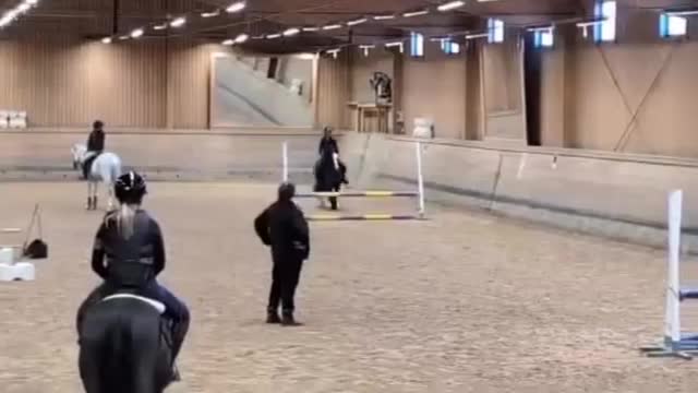 Allround hästar till salu: Tiger söker nytt hem 🖤 - Video 2