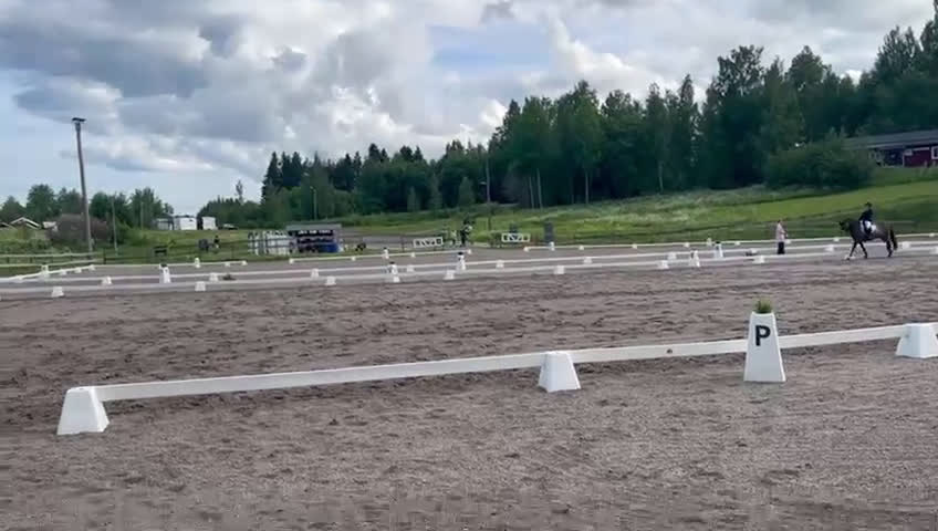 Dressyr hästar till salu: Guldkille till salu! i Kvissleby - Video 1