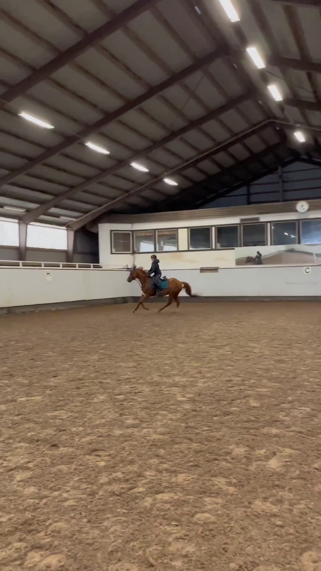 Allround hästar till salu: Fantastiskt fullblod i Löddeköpinge - Video 1